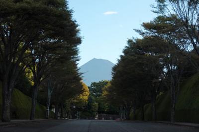自転車でGO! ポタリング&散歩 2024.08.17