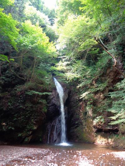 伊香保温泉から本白根温泉のある嬬恋高原、そして志賀高原へーーー。