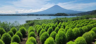 2024 猛暑盆休みに行く13回目の分杭峠＆富士山周辺パワー充電 ～②富士山周辺編～