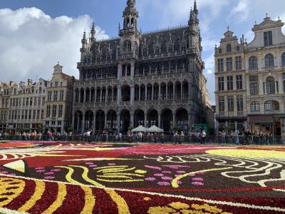 夫婦でベルギー旅行、ちょっとワルシャワ、オランダも。