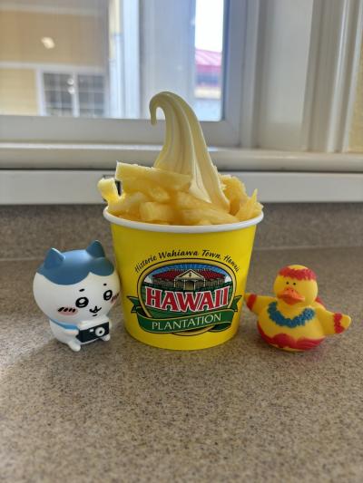 母娘で5年ぶりのハワイへ(3)食べ歩きツアー再び