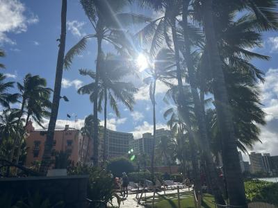 小学生と60代と行く☆2024年夏休みハワイ三世代旅行☆5日目