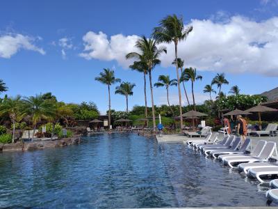 2024ハワイ島で夏休み 7年ぶりだよ!