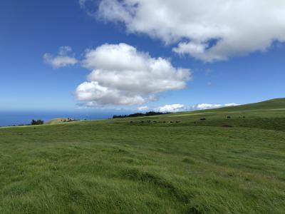 2024ハワイ島で夏休み 4日目 コハラコーストで乗馬