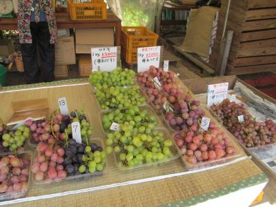 小池ぶどう園さん@取手、はじめまして