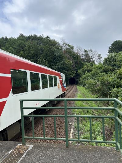 JRどこかにビューーンで八戸旅  岩手編 #2