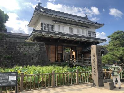 No.97百名城の鹿児島城(43/100)～九公一民・苛政の象徴～