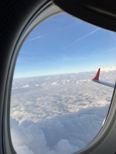 2024/8 夏旅⑧復路オーストリア航空(ウイーン経由)とANAビジネスクラス空の旅