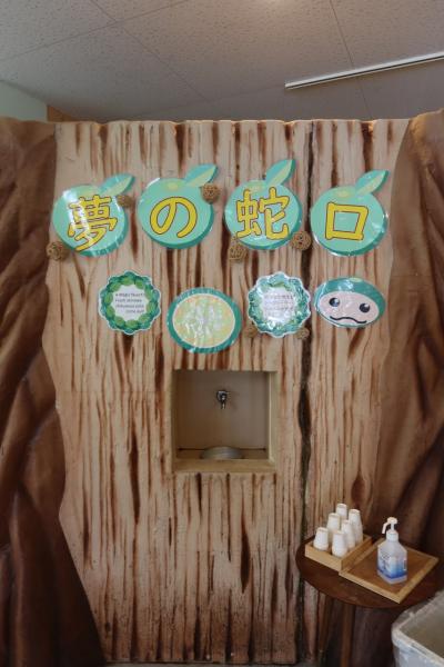 August 2024 沖縄旅行記 3日目 ~大宜味シークヮーサーパーク見学~