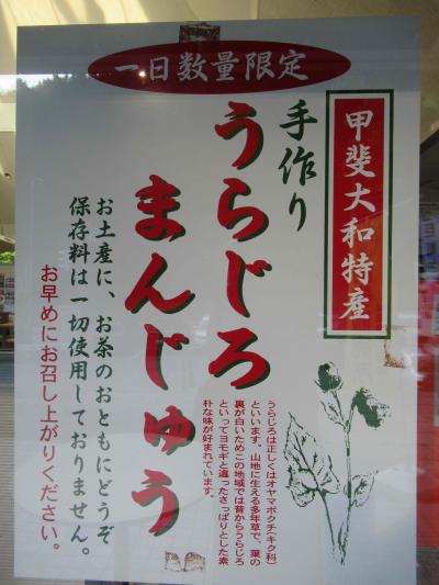 信州蔦木宿から、甲斐大和まで、2024年スタラリ山梨県分は今回でクリアする！
