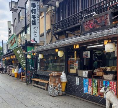 『柴又帝釈天』を訪ねた夏☆☆