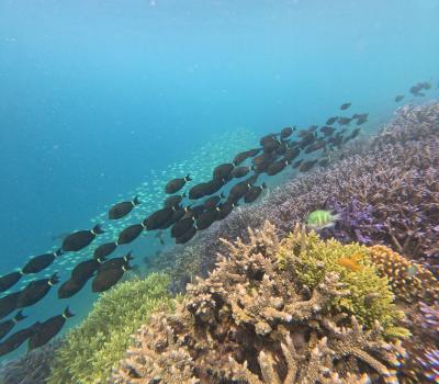 2024.08 3度目の正直でバリ島へLet's Go!②　ロンボク島編