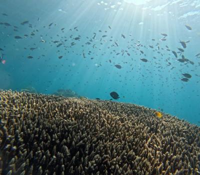 2024.08 3度目の正直でバリ島へLet's Go!③　パダンバイ編