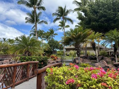 2024.8 初めてのハワイ島7泊9日1.2日目