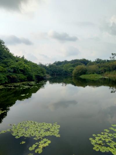 高雄滞在記：高雄ウォーターフロント/澄清湖・烏松湿地公園までポタリング 2024/08/22-09/02