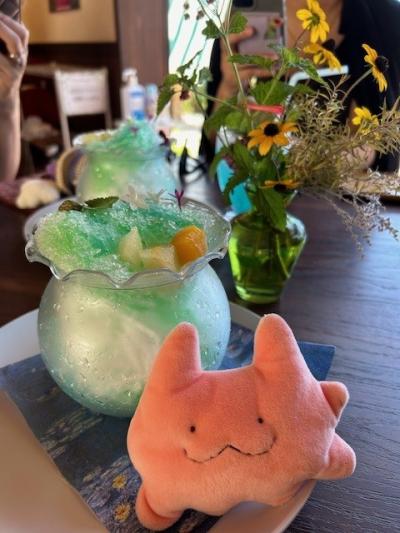 ２泊３日で友達を高知に引率してきた
