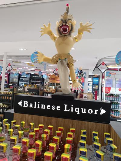 2024 夏 SQバリ島11日間 チャンギMCT復路羽田着