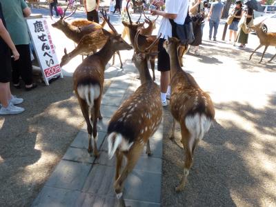 アパホテル近鉄奈良駅前