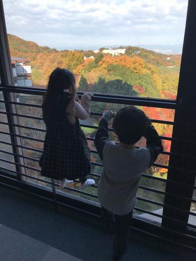 目指せ!母子で47都道府県制覇!! 兵庫 13/47