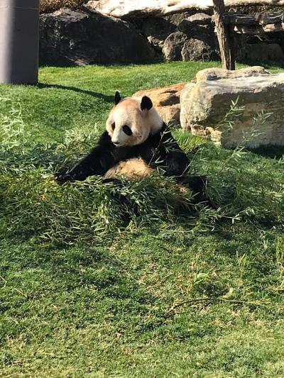 目指せ!母子で47都道府県制覇!! 和歌山 14/47