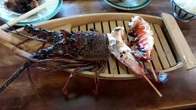 札幌から行く三重県、少し和歌山県の旅(寒くなったら南へ)