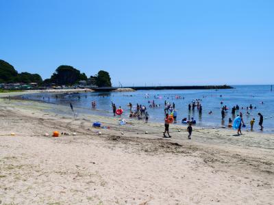 今夏もシャチの水を浴びに鴨川へ　２．上総興津