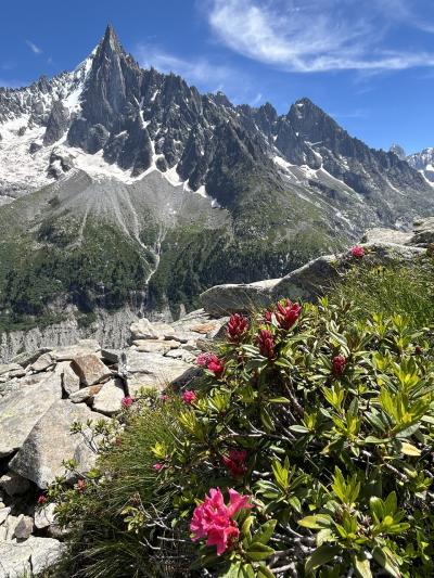 2024年7月シャモニー② エギュイーユ・ディ・ミディ 、プラン・ドゥ・レギュイーユ~モンタンヴェール 7/8(月)