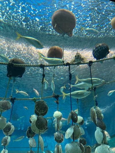 2024年夏　青森旅行　④下北半島、浅虫水族館等