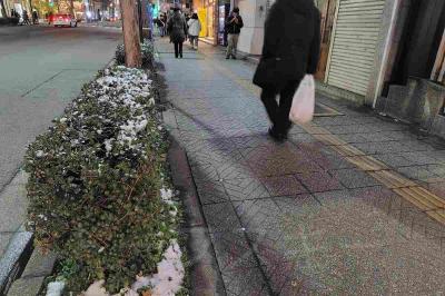 真冬の仙台の街を観て牡蠣を食べよう♪2024年02月