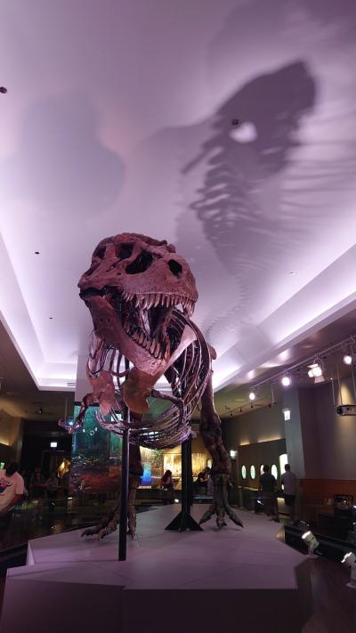 世界一周航空券7　シカゴ