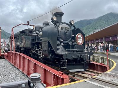特急スペーシアＸで日光・鬼怒川～鬼怒川温泉あさや＆ＳＬ大樹