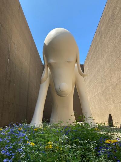 2024年夏  青森旅行　⑤青森駅付近　県立美術館　三内丸山遺跡