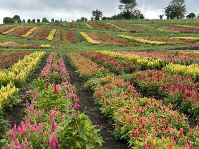 2024年最後の夏旅行は台風10号の影響でどうなることやら？ vol.5 観光編②