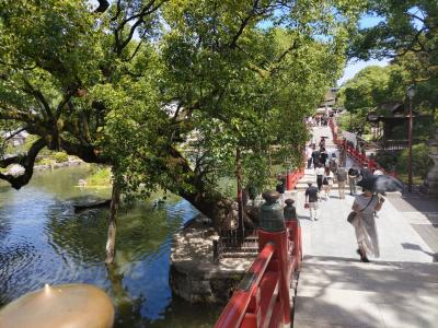 大宰府天満宮に合格のお礼参りと、博物館でいにしえの歴史と文化に浸る