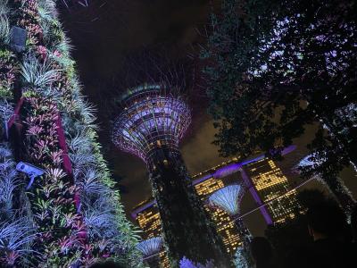 夏休み!今年も家族でバリ島へ2024⑥~ちょこっとシンガポール編