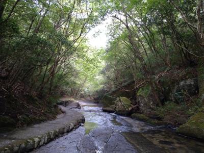 天然クーラーの岳切渓谷で水中散歩！ひんやり、気持ちいいよ！