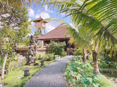 バリ・ウブド 2023　おしゃれで素敵な森の街で自然と文化、スパを楽しむ！①