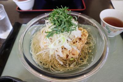 新甘泉狩りと岡山の旅 2日目 そうめんの里編