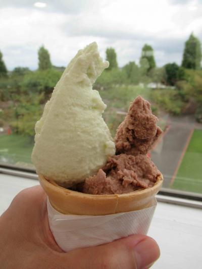 埼玉県の道の駅を中心にスタンプラリーwith太田・古河も添えて