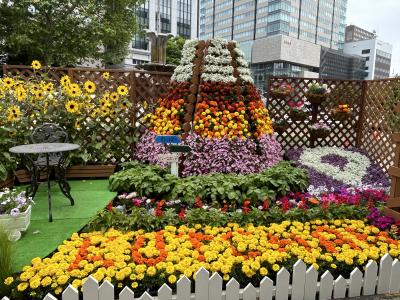 2024.06　ドニチカキップで大通公園花フェスタ2024、メインは夜のオフ会だけどね