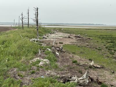 ４０年の歳月を経て消えゆく別海十景トドワラ