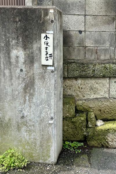 30年間の海外駐在員生活を終え、人生の最後にタイ国に移住してみる事にしたの...記（バンコクから日本へ一時帰国）