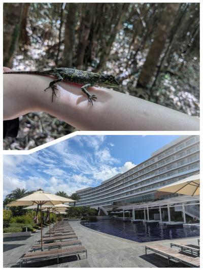 やんばるの森 トレッキング at ヒルトン沖縄北谷リゾート