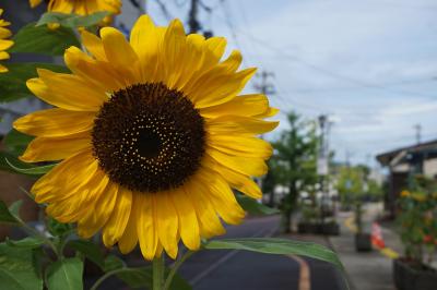 新潟旅行記～2024 糸魚川市編～