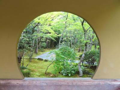 晴れおじさん「名園散歩」(松島・円通院)