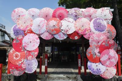 「全国の神社・お寺 人気ランキング 2024」第1位の別小江神社に行ってきました