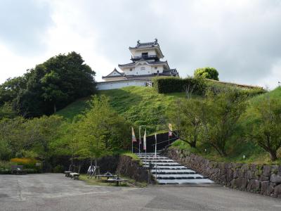 孫と一緒に城めぐりの旅　ついでに花鳥園再再訪　２．掛川城の大手門、天守、御殿