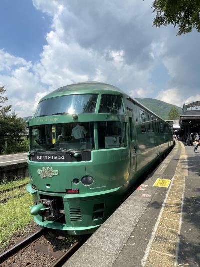 別府由布院わくわく旅その3…ひとり旅編！