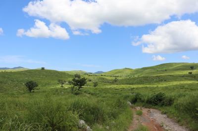山口ー秋吉台・徳山(大津島)の旅