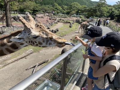 【子供と行く】南伊豆の旅③